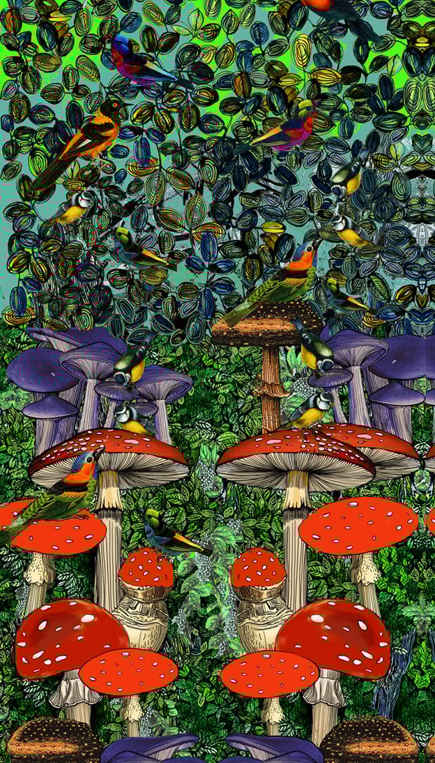 Fantaisie Bird - Marie Antoilette - Alternatieve afbeelding