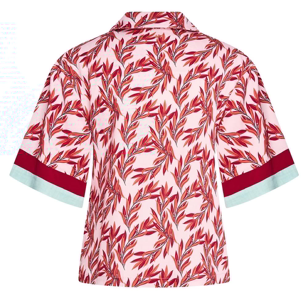 Take Me Back - 4 Funky Flavours - Alternatieve afbeelding