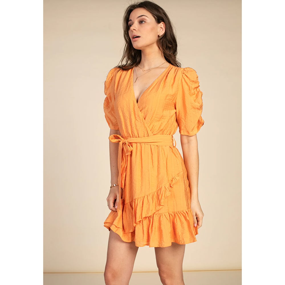 Kayna Vis Dress - Aaiko - Alternatieve afbeelding