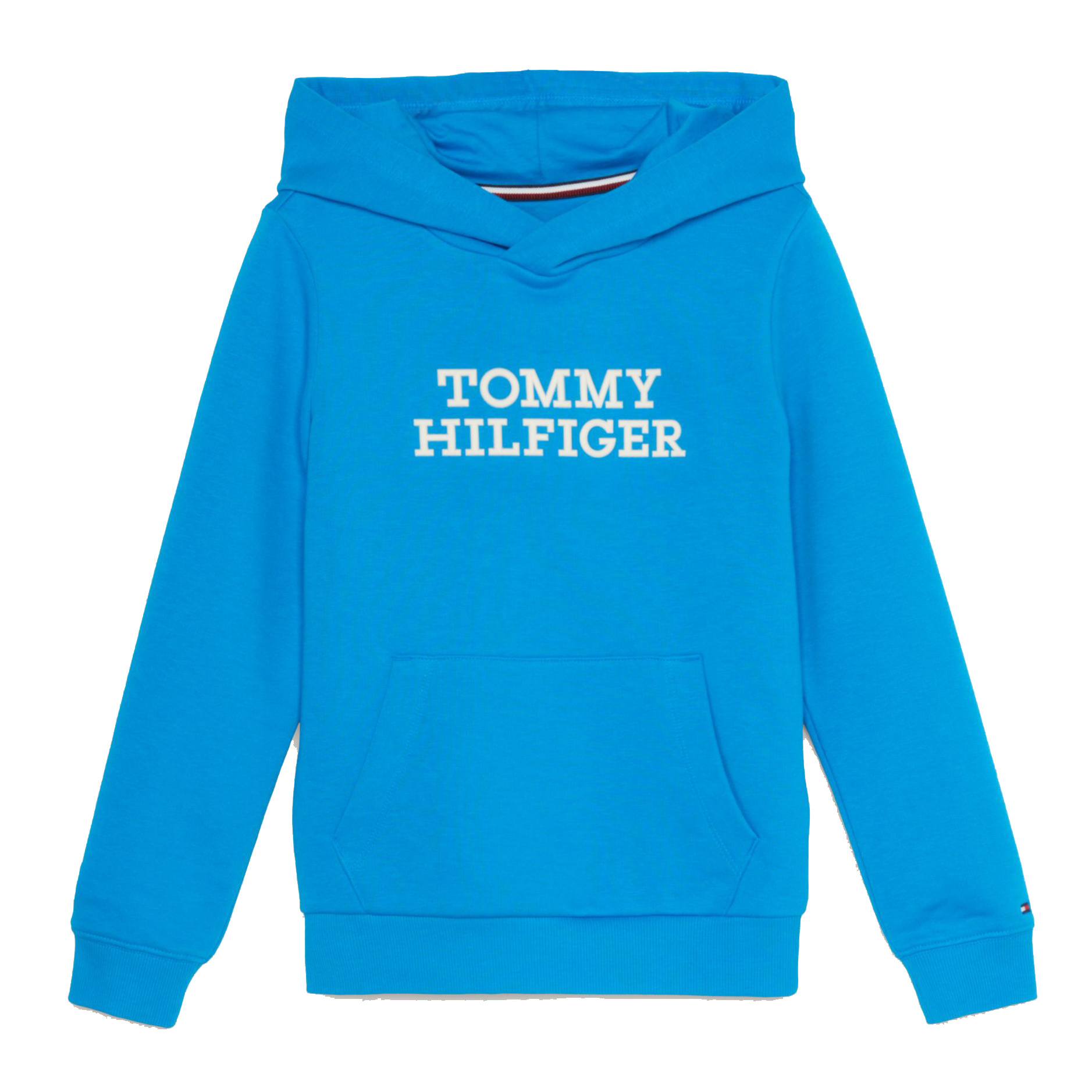 Tommy Hilfiger Logo Hoodie - Tommy Hilfiger Kids