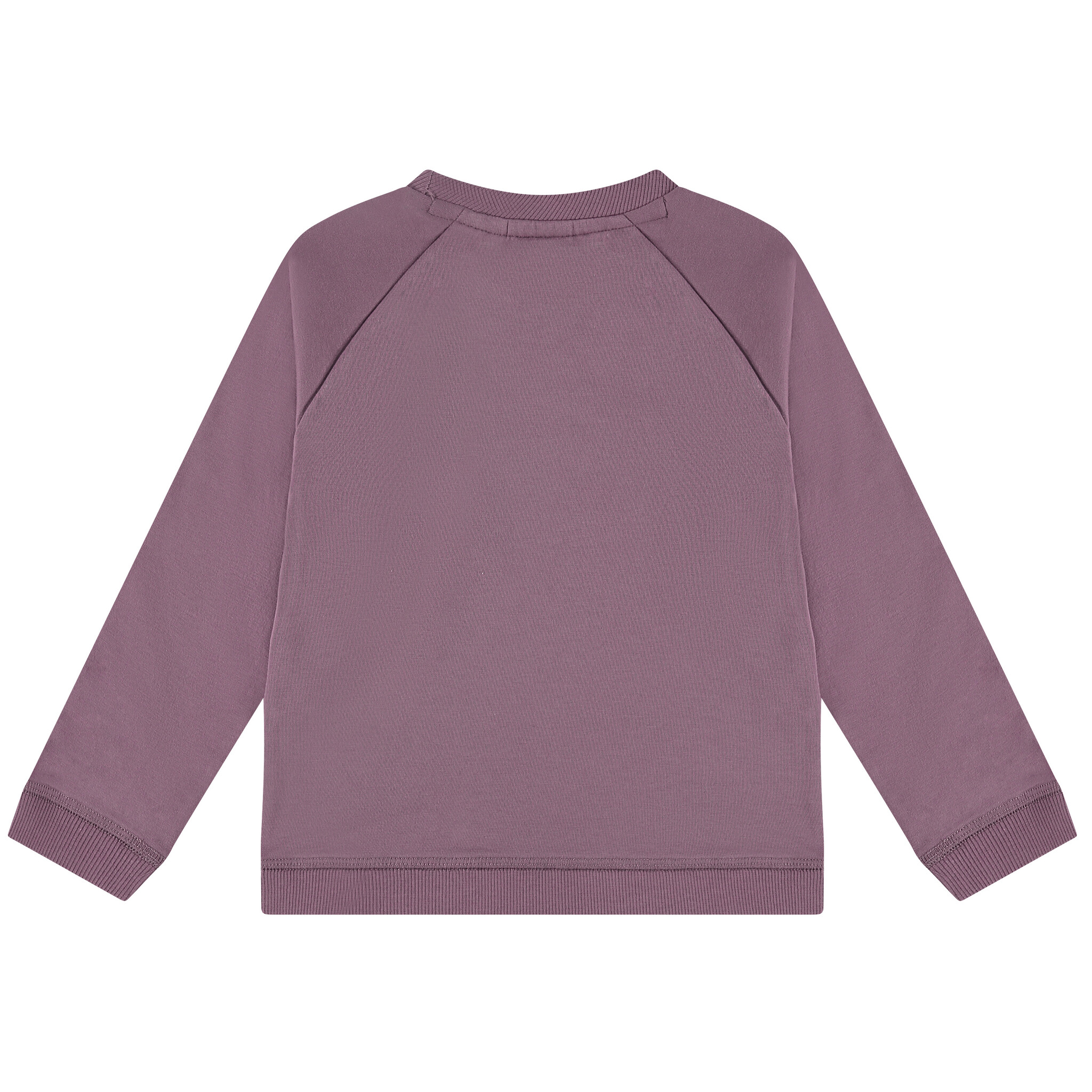 Boys Sweatshirt 475 - Babyface - Alternatieve afbeelding