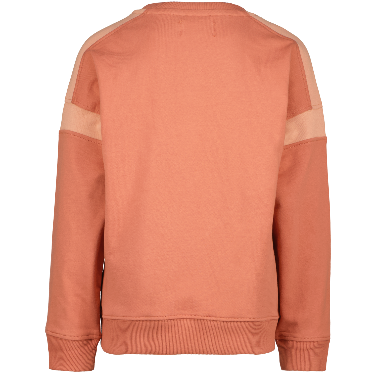 Jamison Boys Sweater - Raizzed Kids - Alternatieve afbeelding