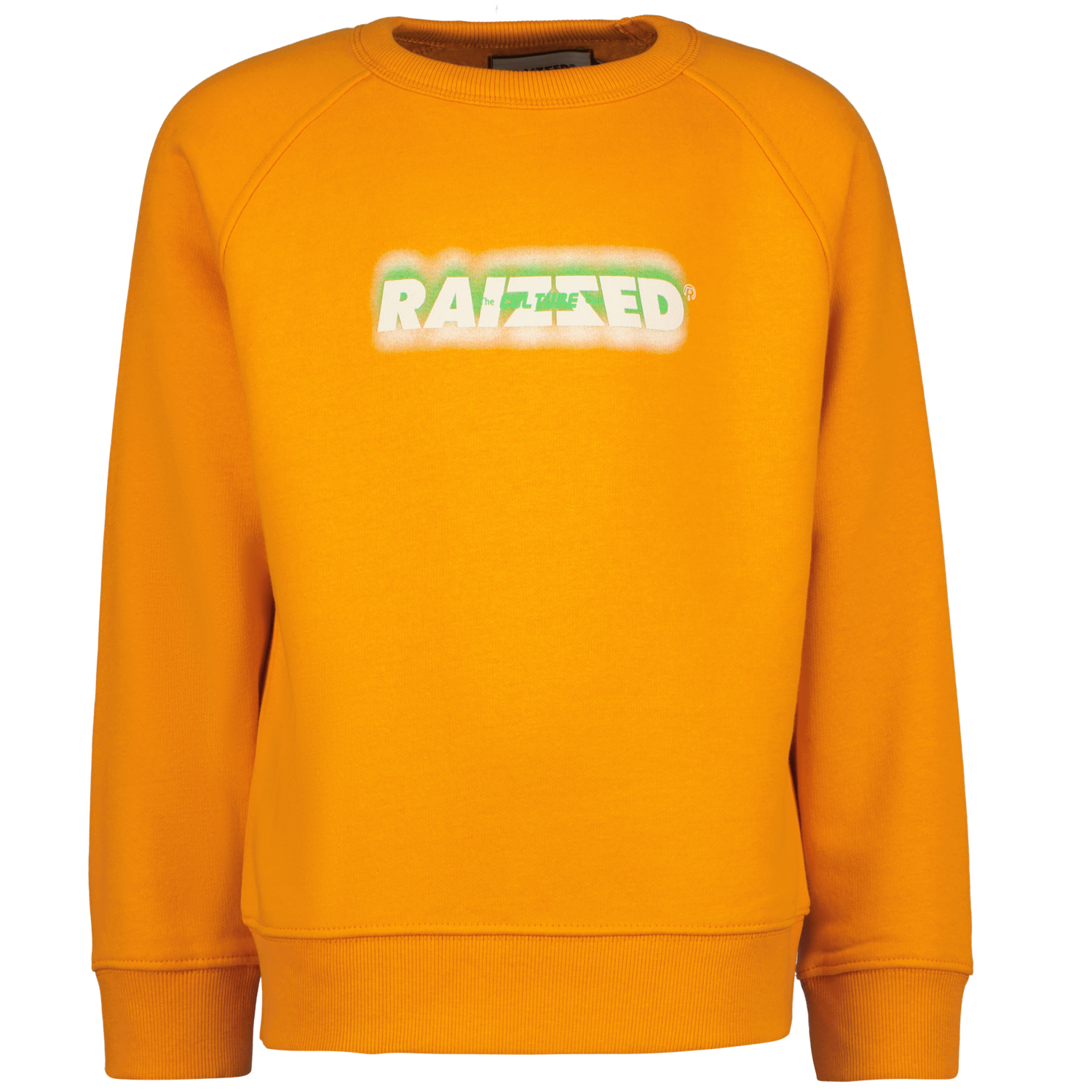Jardy Boys Sweater - Raizzed Kids