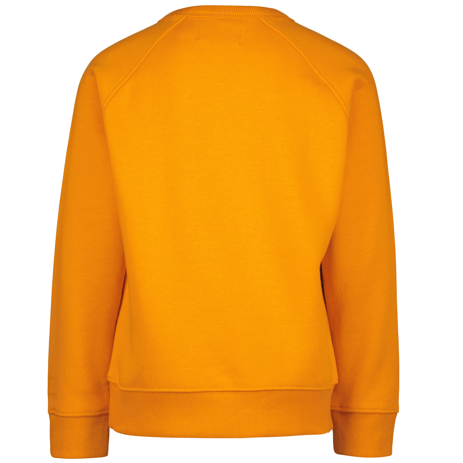 Jardy Boys Sweater - Raizzed Kids - Alternatieve afbeelding