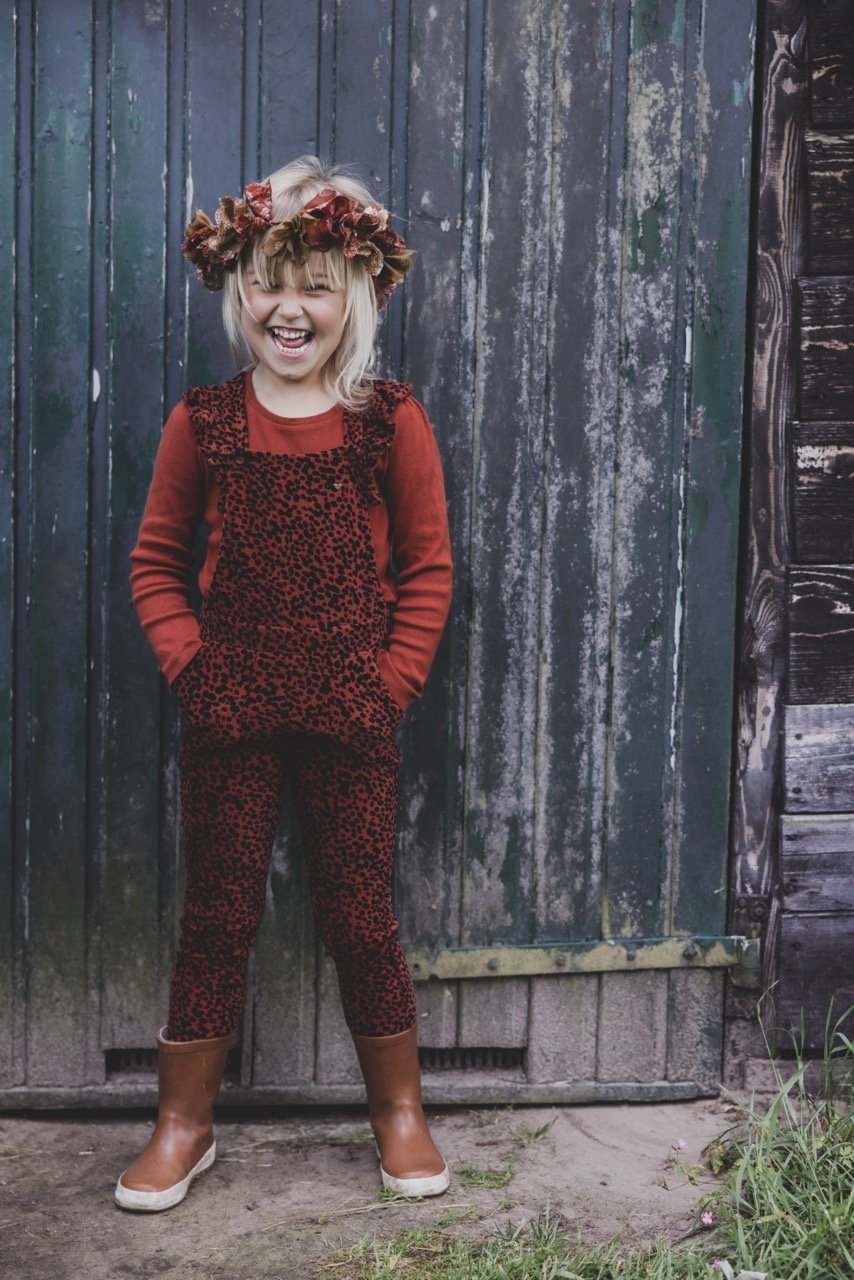 Little Pointel T-Shirt Longsleeve 7428 - LOOXS Little - Alternatieve afbeelding