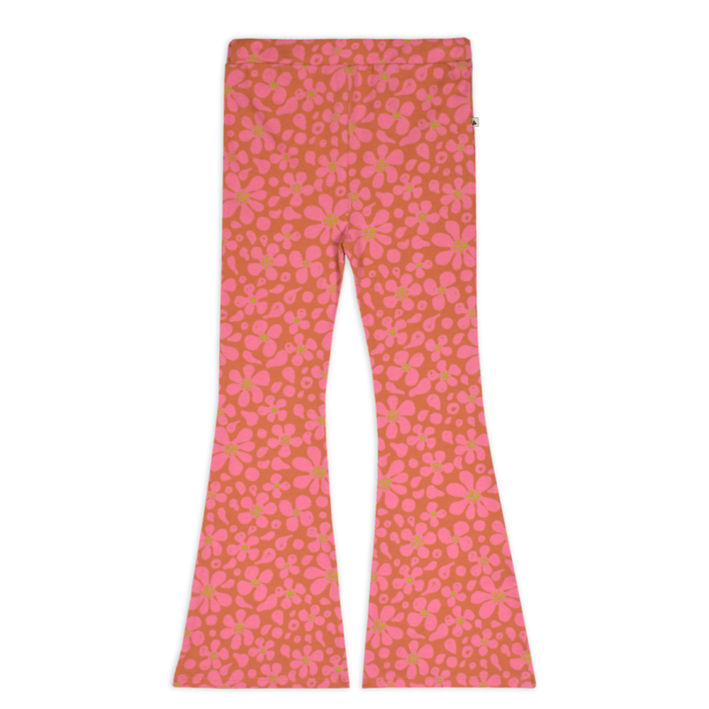 AM.Liv.43 - Ammehoela