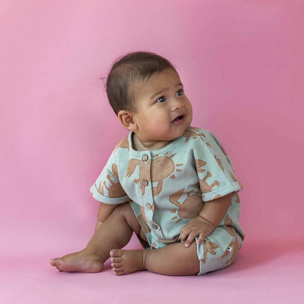 AM.Ezzi.16 - Ammehoela - Alternatieve afbeelding