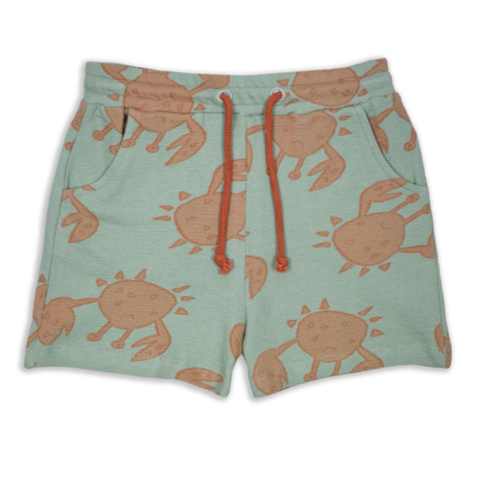 AM.Apollo.21 - Ammehoela