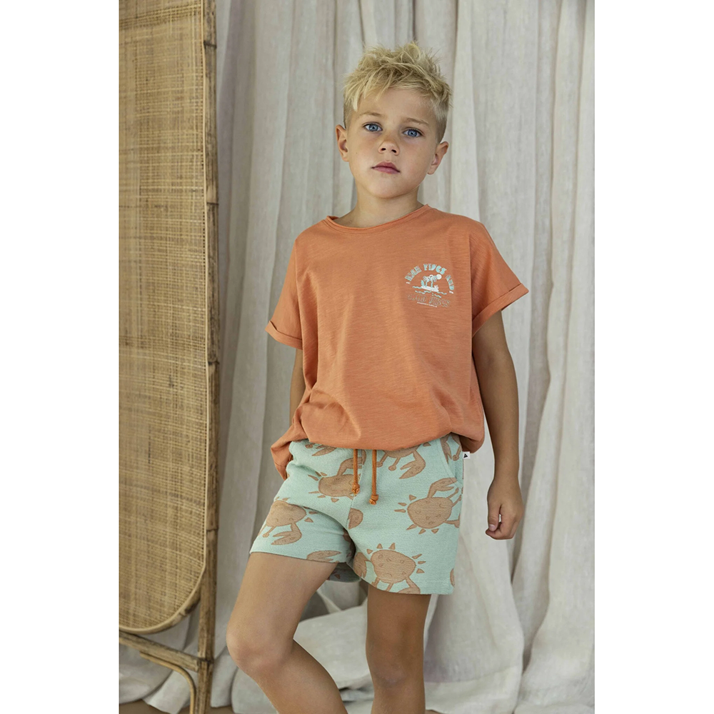 AM.Apollo.21 - Ammehoela - Alternatieve afbeelding