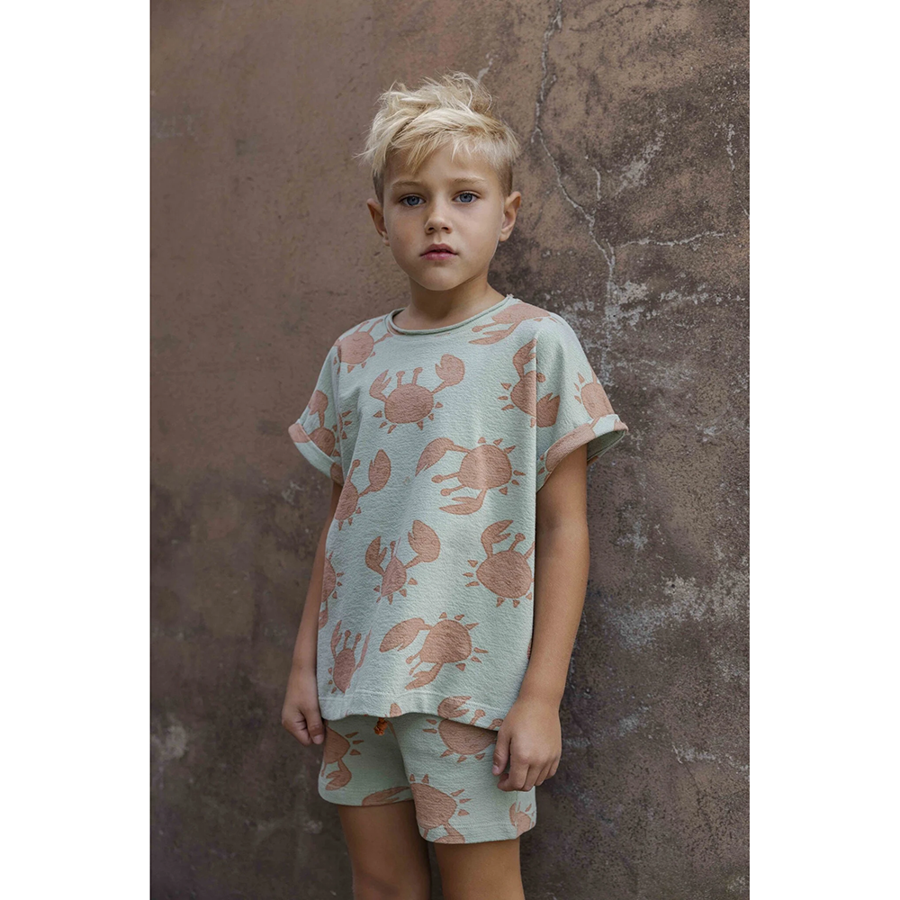 AM.Apollo.21 - Ammehoela