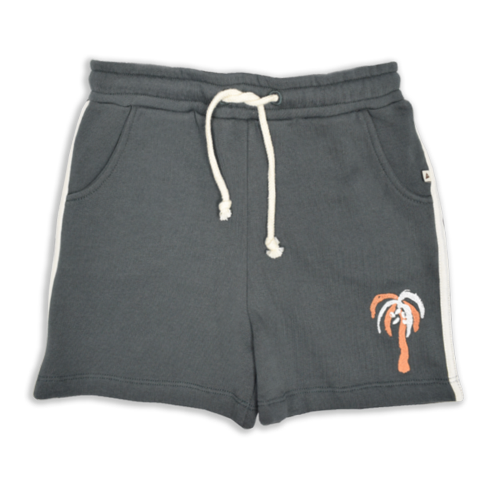 AM.Apollo.20 - Ammehoela