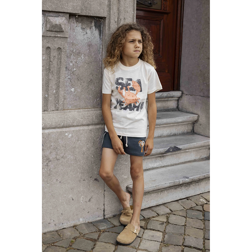 AM.Apollo.20 - Ammehoela - Alternatieve afbeelding