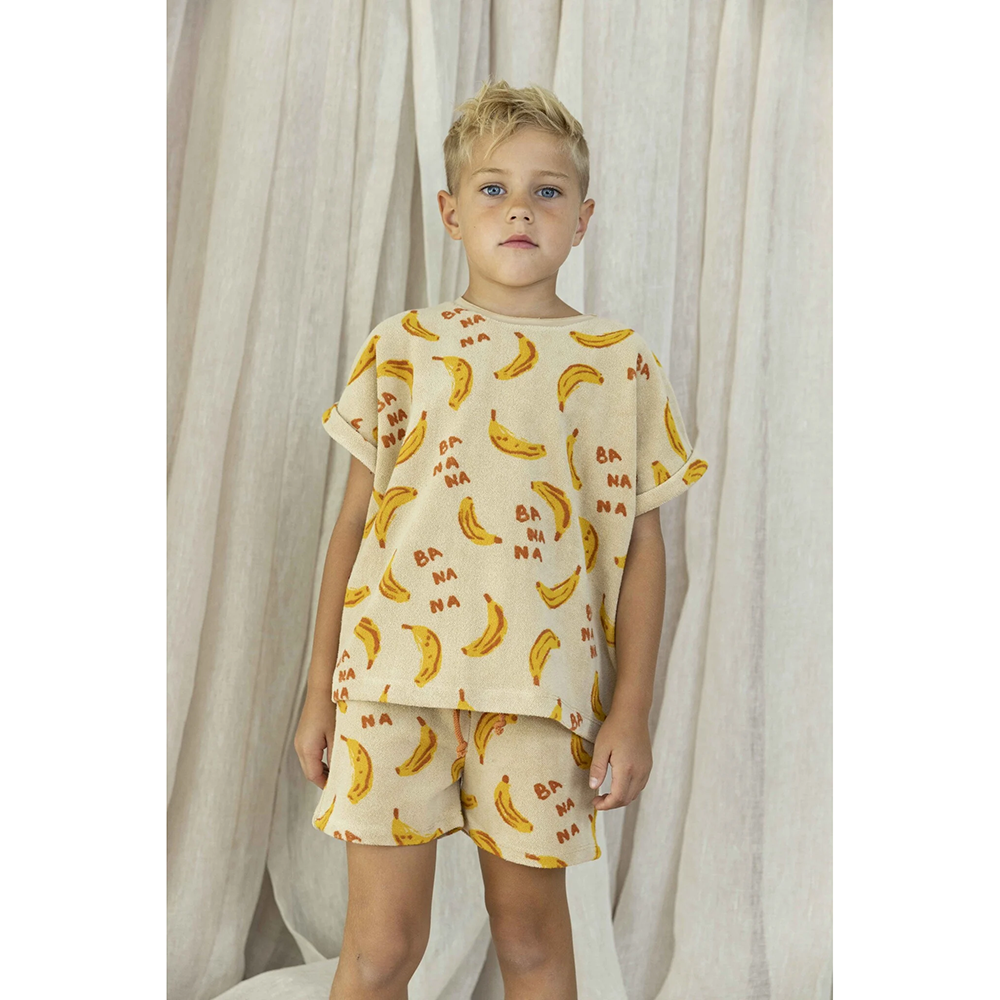 AM.Apollo.19 - Ammehoela - Alternatieve afbeelding